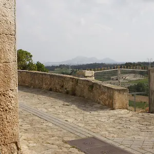 Sa Madona De Sa Pleta , Muro Spain